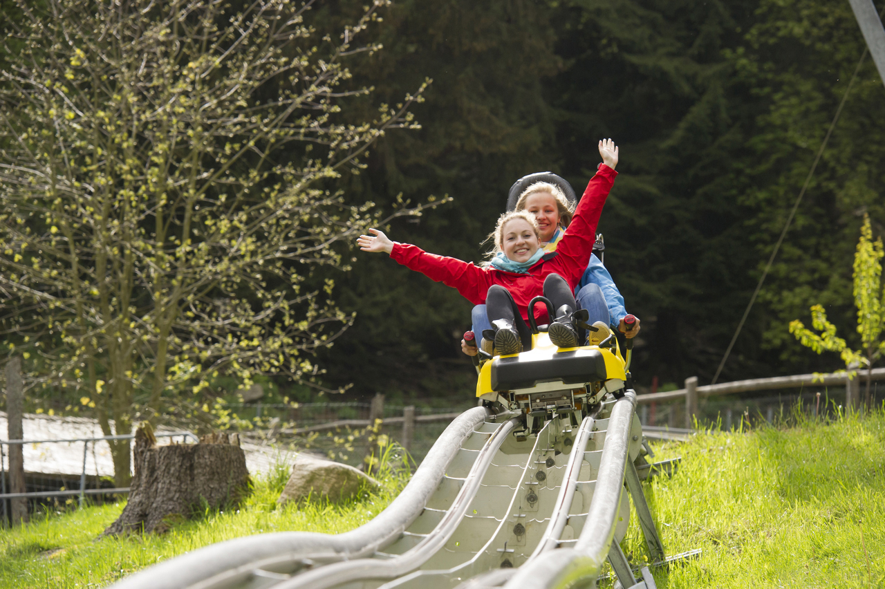Toboggan Slides Basel Life