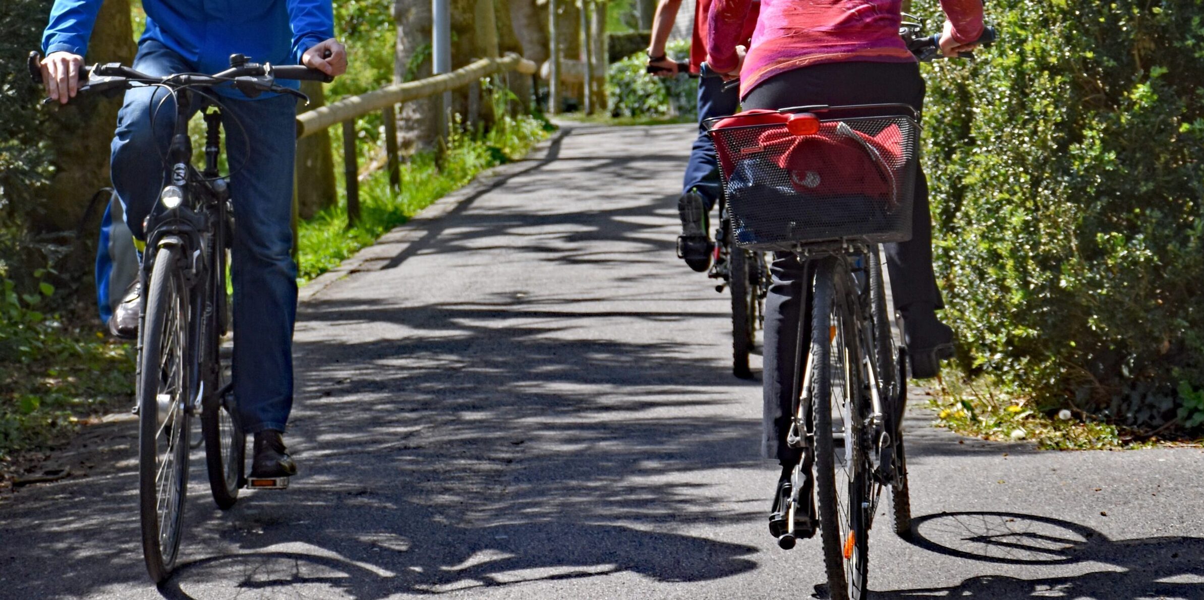 Increase in Thefts from Bicycle Baskets Basel Life